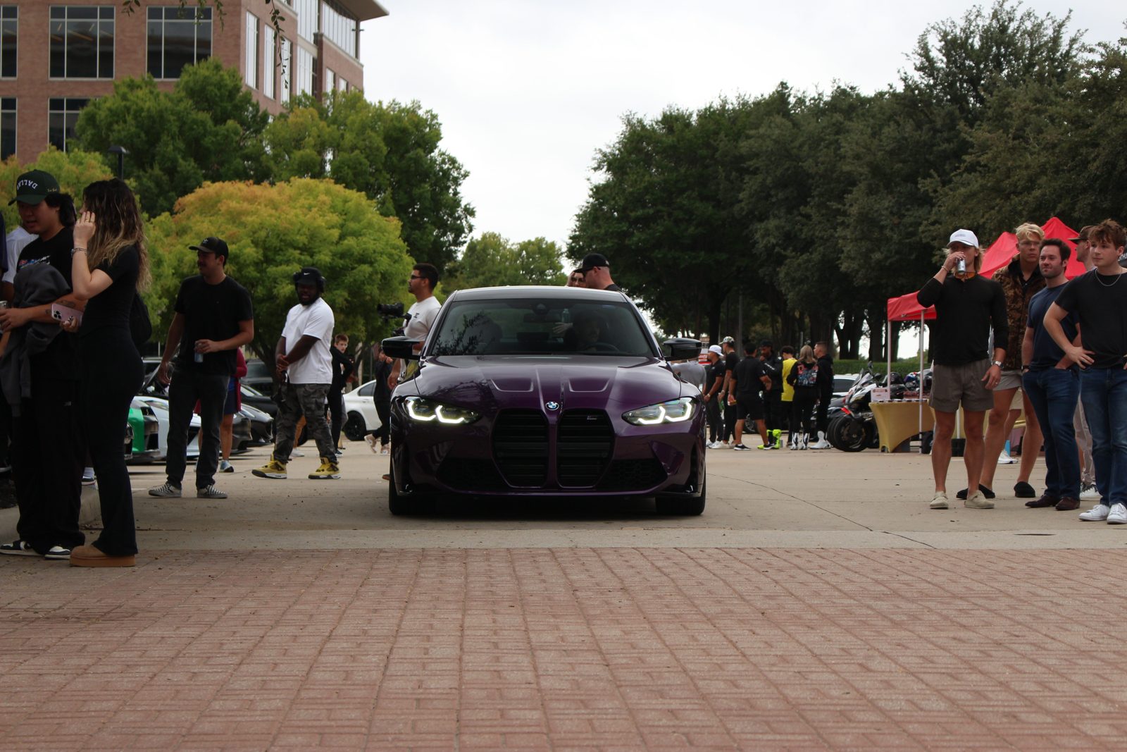 the purple m3